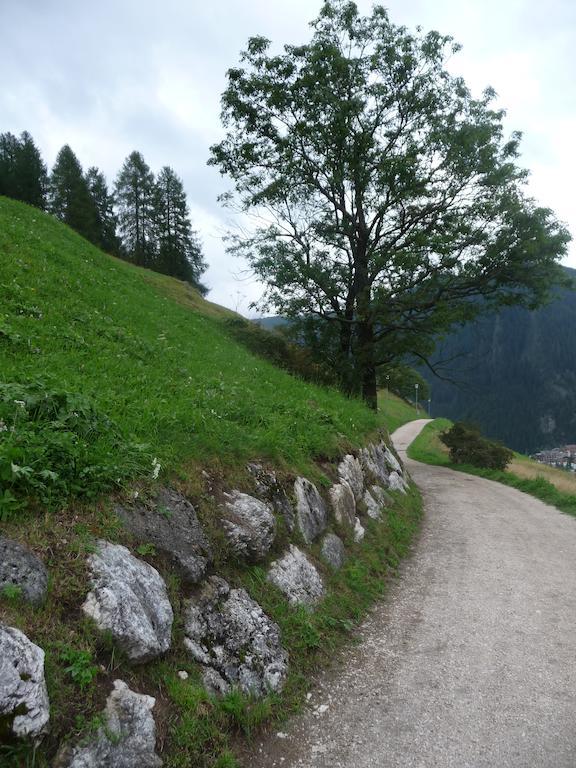 Apartments Residence Alta Badia Colfosco Εξωτερικό φωτογραφία