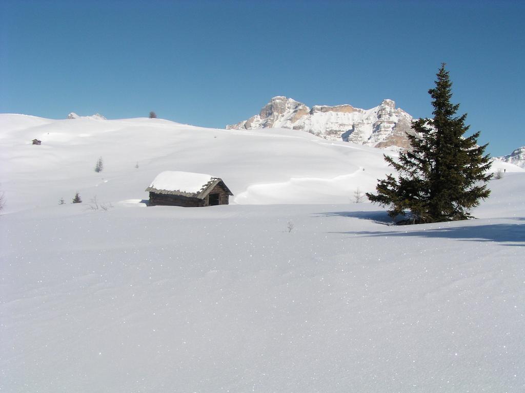 Apartments Residence Alta Badia Colfosco Εξωτερικό φωτογραφία